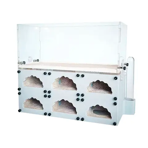 급수탑이 있는 석고 개미 농장, 개미 둥지, 보습 곤충 집, 애완 동물 개미집 워크샵, 3D