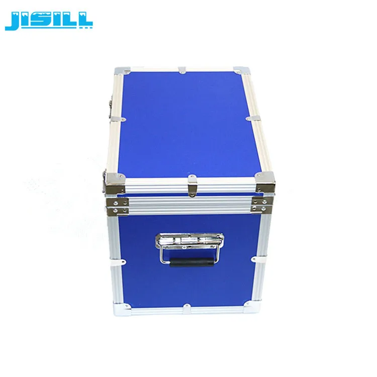 Factory Custom VIP Panel Ice Cream Cooler Box For Long Time Transport