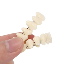 10pcs Resin False Teeth Whitening Dentures Temporary Fake Tooth Upper Lower Removable Dental Veneers