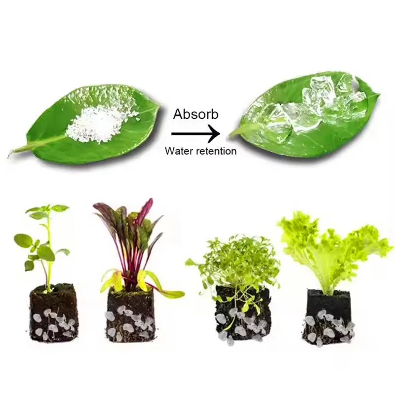 Professional Factory 100% Safety Potassium Polyacrylate High Purity Planting Agriculture Gel Hydrogel for Cabbage