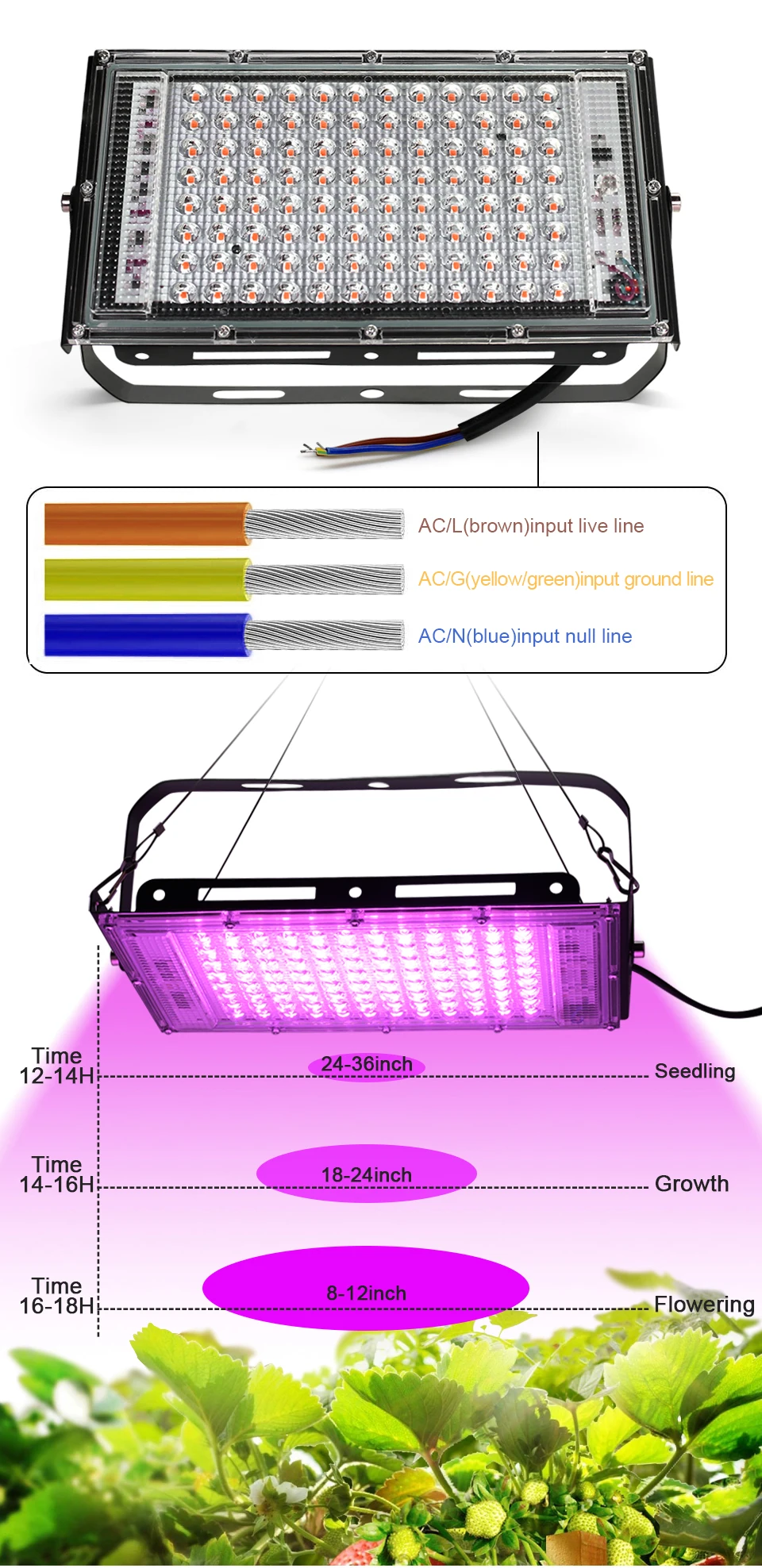 Lampe Horticole LED Spectre Complet 100W - Projecteur Croissance Plantes Extérieur IP65