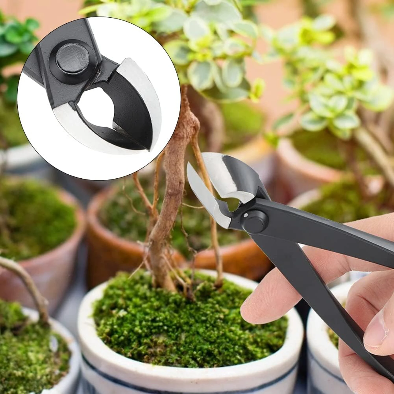 Essential Hand Forged 6.4in Bonsai Gardening Shears Scissors, Perfect Tool for Fruit Tree Potted Landscape Modeling