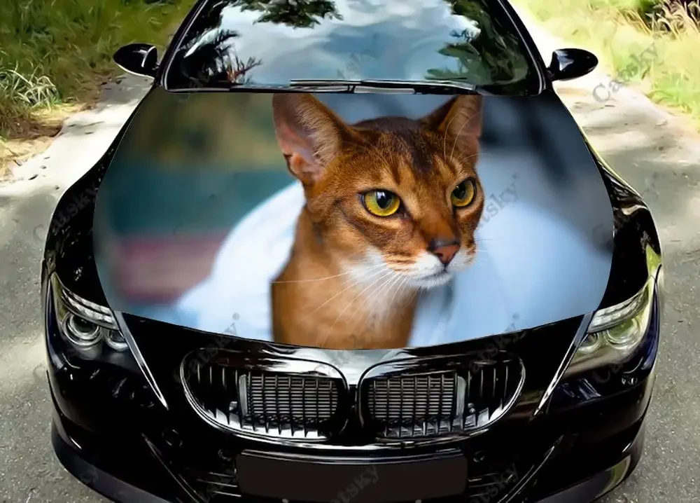 

Cat Abyssinian Car Hood Decals Self Adhesive Paint Stickers Car SUV Wraps Truck Graphics Car Hood Vinyl Decals