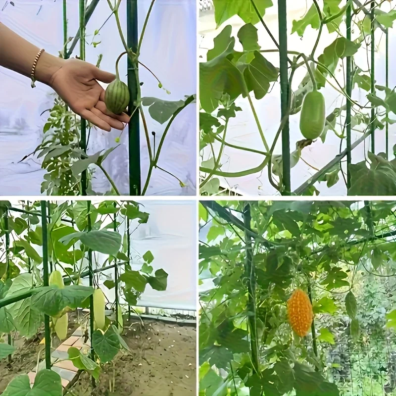 30 pieces/combination green garden bracket, 12 poles+18 accessories, grape cucumber flower stand support rod  H0983B-60cmx8mm