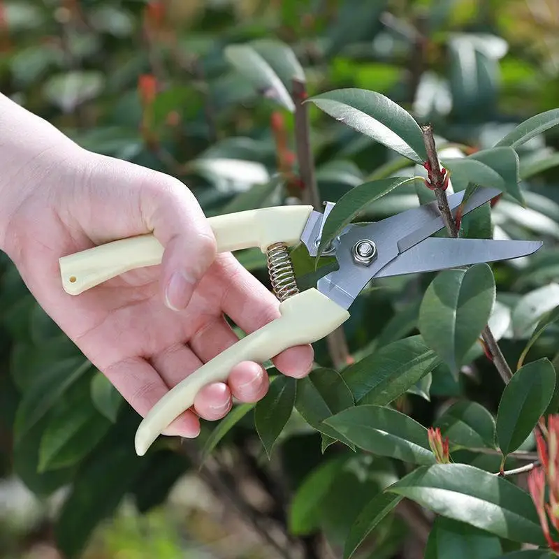 Stainless Steel Pruning Scissors Cutting Multifunctional Flower Tree Branch Bypass Garden Pruner Hand Shear Clipper Toolherramie