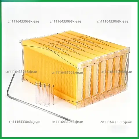 Self Flowing Hive Frames, Automatic Extraction Boxes, Honey Spleen, Plastic Honey Hive Frames, Beehives