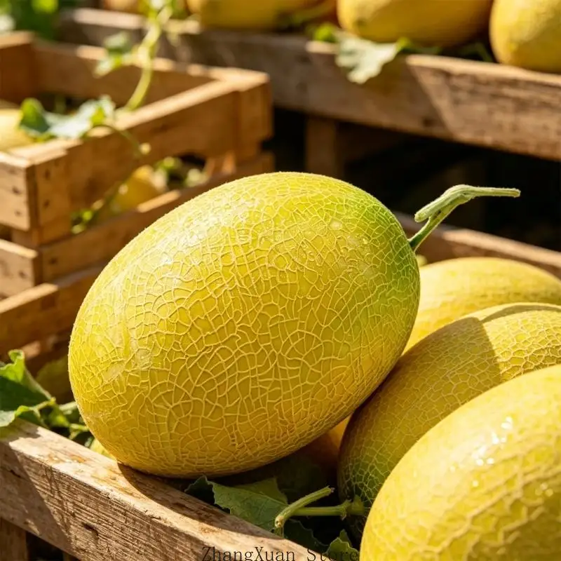 Dekorative ABS-Melonenfrucht für Event-Tisch- und visuelle Präsentationsszenen 3XUF – Detail 7