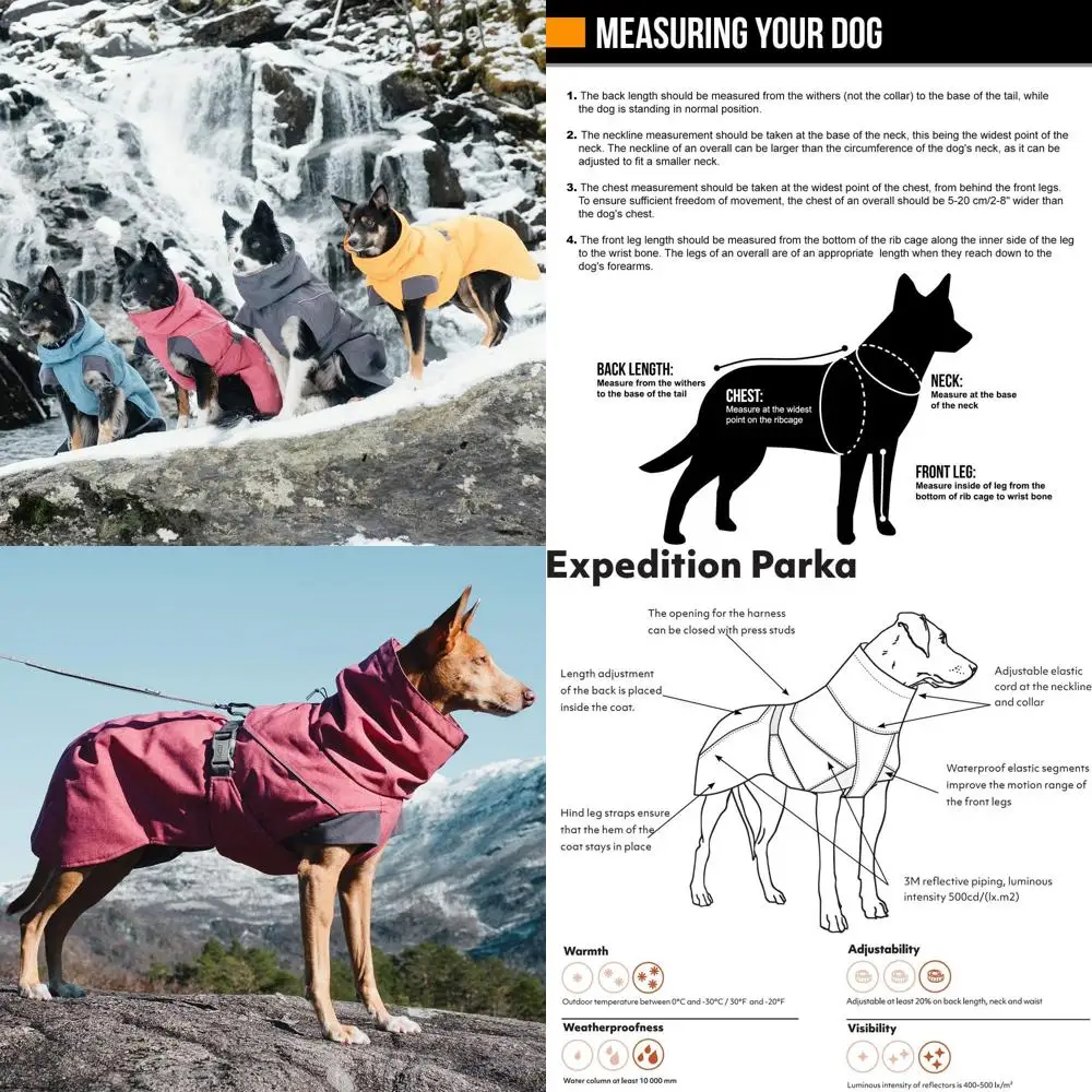 

Winter Dog Parka Coat with Beetroot Color, 12 Inches