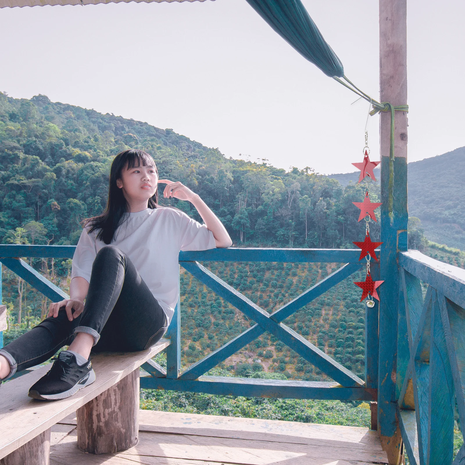 

2 шт. светоотражающий пятиконечный инструмент для отпугивания, садовые принадлежности, уличный водонепроницаемый сдерживающий инструмент для сада, балкона, двора