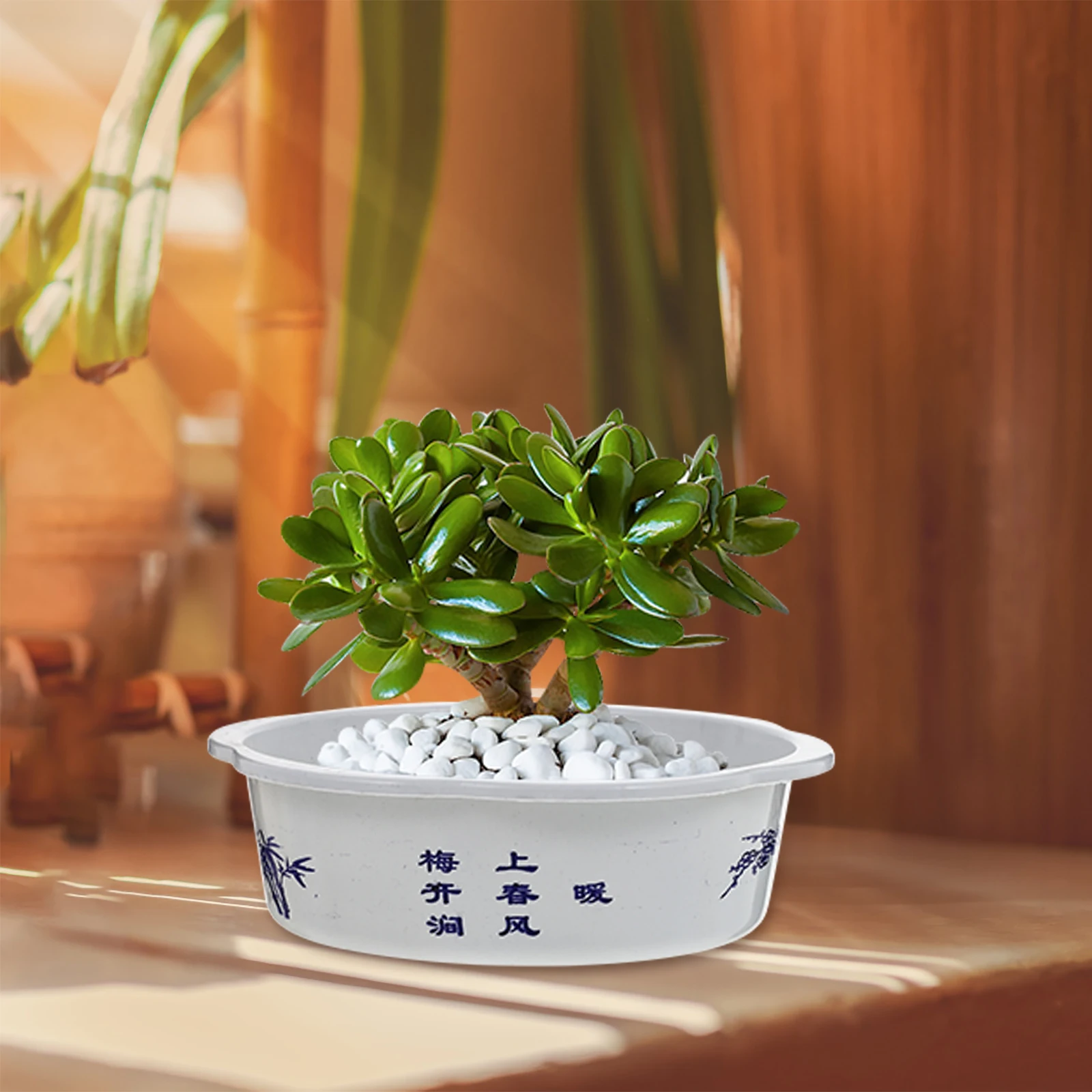 

10Pcs Plastic Flowerpot Round Hydroponic Planting Basin for Garden Decorative Water Lily Daffodil Pot with Water Storage