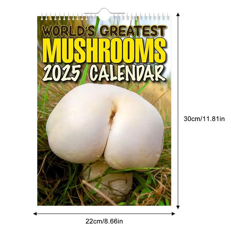 Fun Mushrooms Calendar, Mensal Family Organizer, Organizador Diário, Thick and Sturdy Paper, Organização, Imagens, 2025