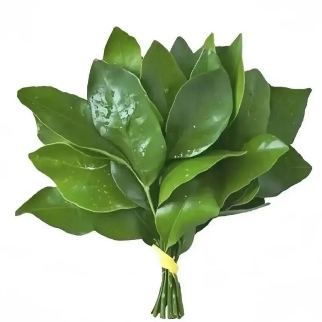 

Новинка 2026: Профессиональный RF-аппарат для удаления морщин, лифтинга кожи вокруг глаз, умный массажер для ухода за кожей вокруг глаз, RF-аппарат для подтяжки кожи