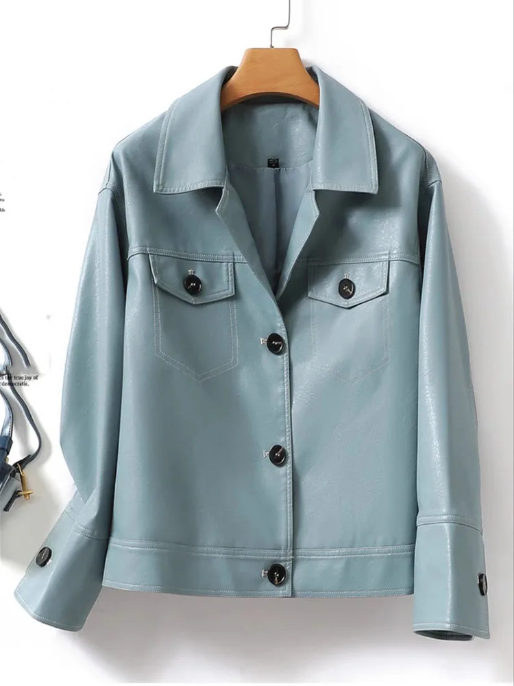 Women's Short Fashion Leather Jacket Autumn/Winter New Leather Jacket Slimming Style Versatile Commuter Short Coat