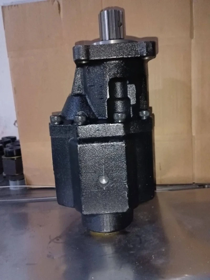

Dump truck hydraulic gear pump 8 teeth foreign trade export double rotation dual-purpose CB100 hydraulic oil pump Haiwo gearpump