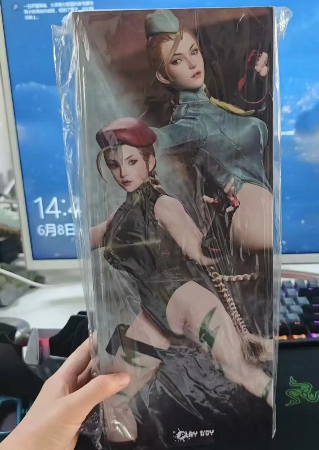 

in stock 1/6 Street Fighter Jiami Movable Soldier Doll Fighting Female Warrior P020