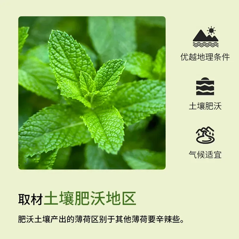 Nature Peppermint Essential Oil Organic Aromatherapy mint Oils for Diffuser Perfume Soap Candle car diffuser mosquitoes repel