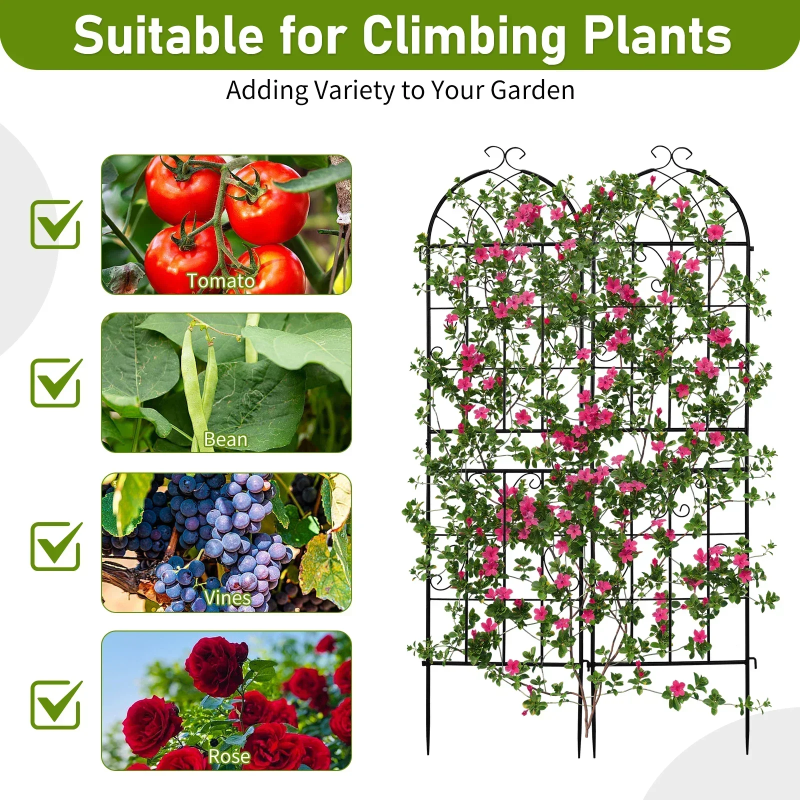 2 Pack 16" x 61" Rustproof Iron Garden Trellis for Climbing Plants Outdoor Flower Support Cream