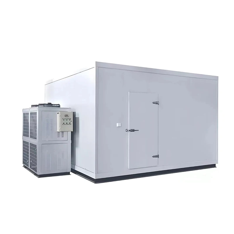 for 6*4.1*2.8m Customized Walk in Cooler Freezer Refrigeration Unit Freezing Cold Storage Room For Fish Meat Chicken Ice Store