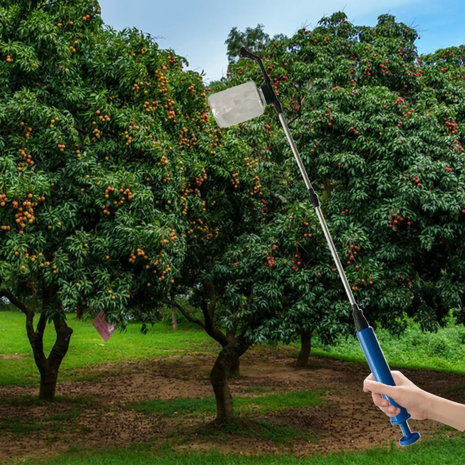 93cm Telescopic Fruit Pollinator Pollen Sprayer Pollination Tool for Diatomaceous Earth Lightweight Manual Transparent Tank