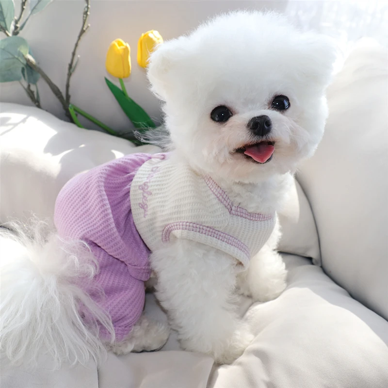 Summer Thin Dog Clothes Leashable Pet Four-legged Coat Teddy Home Clothes Poodle Colour Blocking Pullover Pet Supplies