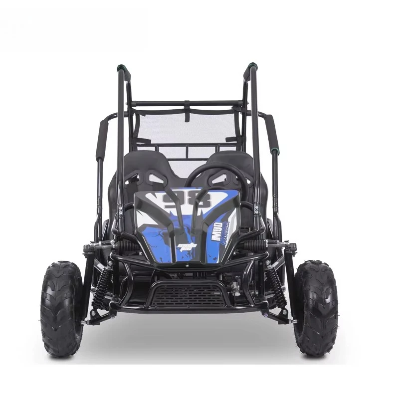 1200W 48V 60V Big Electric 2 Seat dune Buggy, Electric Kids Go Kart, Off-road Go-karts for Cheap Sale