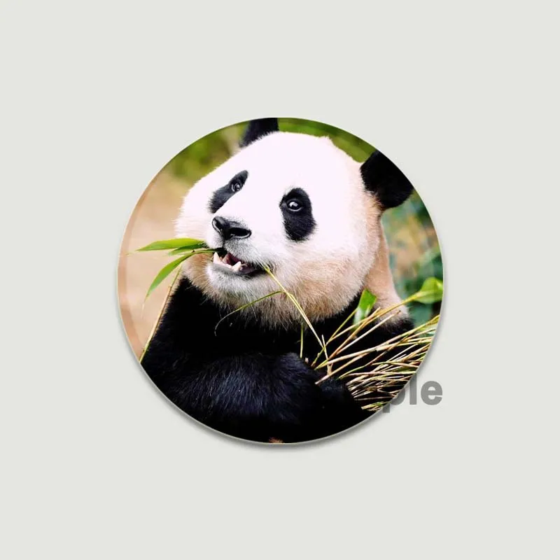 32/44/58mm Cute Pandas Round Brooch Fu Bao/Xiang Xiang/nuan Nuan Badge Clothing Backpack Accessories Pin Gift Fans Collection