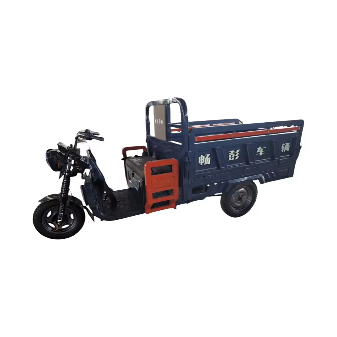 Top Fashion Electric Cargo Tricycle Farm Electric Small Tricycle