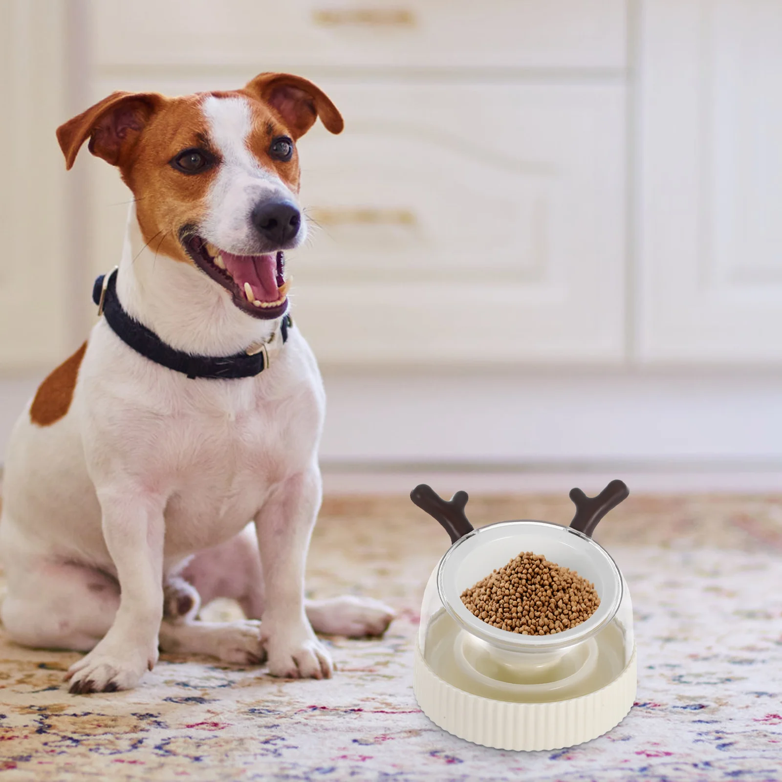 

Small Size Slow Feeding Dog Bowl Elevated Kitten Puppy Pet Feeder Ceramic Cat Feeder Travel Spill Proof Anti Spill Design