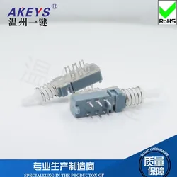 10PCS PBS-22H18 switcher Double row 6 feet Lock and push through Key switch Single six-pin Self-locking transparent cover