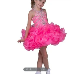 Pink Girl Princess Dress Lace Puffy Flower Girl Dresses Sleeve Cute Girl Birthday Dress Wedding Party Dress Baby Dress