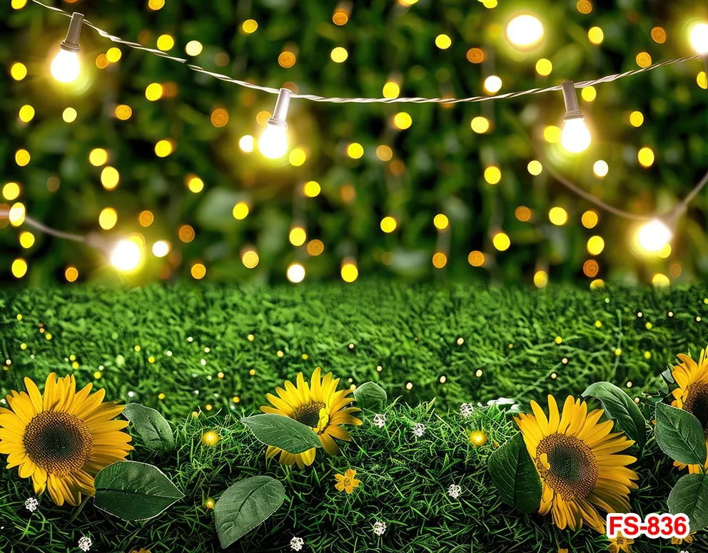 لامعة ضوء البوكيه خلفيات فوتوغرافية ، خلفيات طبيعية الدعائم ، أشعة الشمس ، الصيف ، الريف ، الأصفر ، عباد الشمس ، ورقة ، المناظر الطبيعية