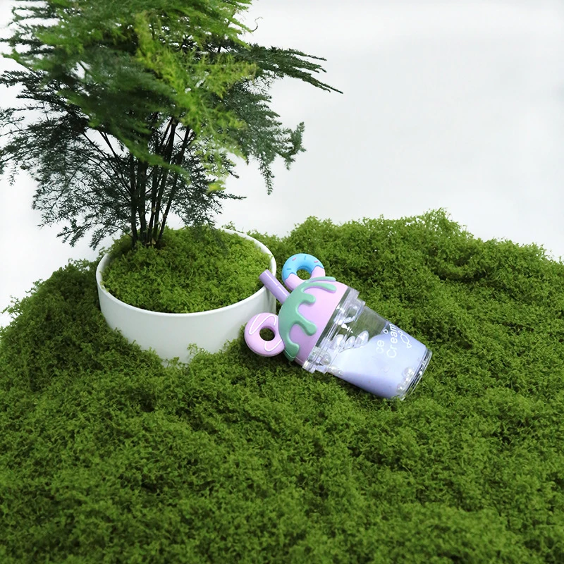 50g Fake Moss DIY Crafts Grass Artificial Moss Faux Preserved Moss Green Plants Home Room Garden Decor Mini Landscape Fake Grass