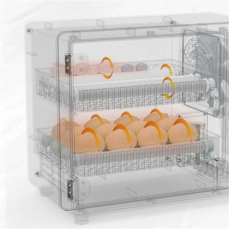 24-Eier-Inkubator mit Schubladentyp, vollautomatischer Inkubatorwender mit automatischer Eierumdrehung, Temperaturregelung, Touchscreen – Detail 9