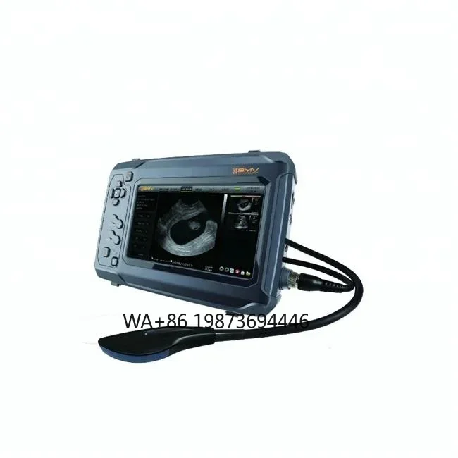 Bestscan S6 Veterinary  Scanner for bovine