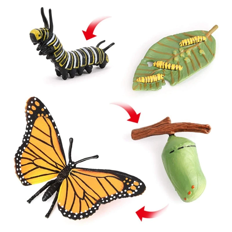 New Butterfly Life Cycle Board Set Lifestyle Stages Kids Teaching Tools Animal Growth Cycle Educational Toys