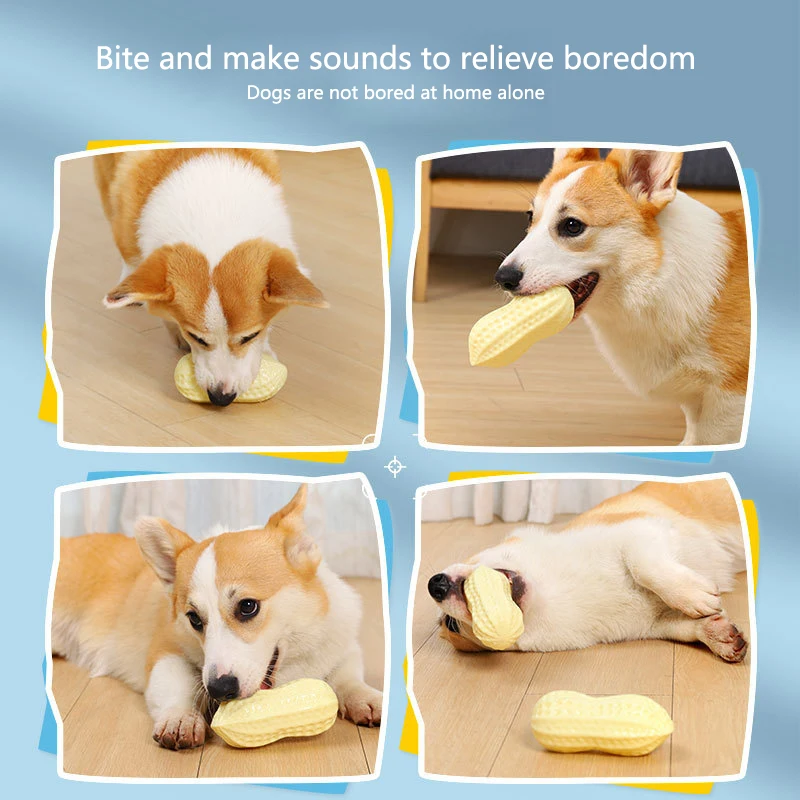 ยางไวนิลถั่วลิสงสุนัขของเล่นสําหรับสุนัขขนาดเล็กความยืดหยุ่น Chew ความเบื่อบรรเทาของเล่นทําความสะอาดฟันเสียงของเล่นสัตว์เลี้ยง Stuff อุปกรณ์เสริม