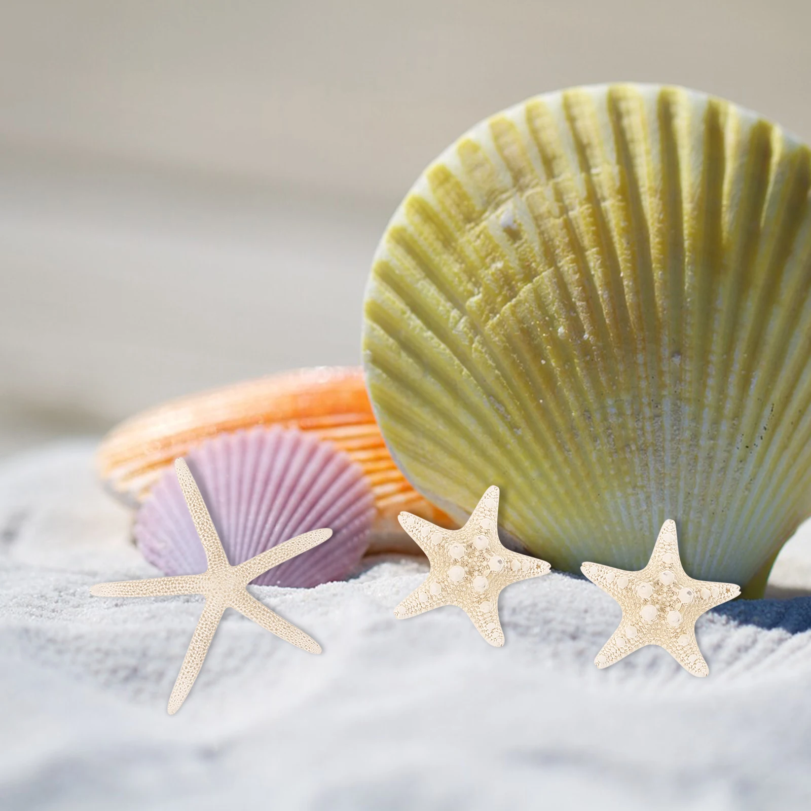 

8pcs Natural Sea Star Crafts Micro Landscape Decor Aquarium Diy Desktop Ornament Adorn Creative Mini Decorations Fish Tank Drift