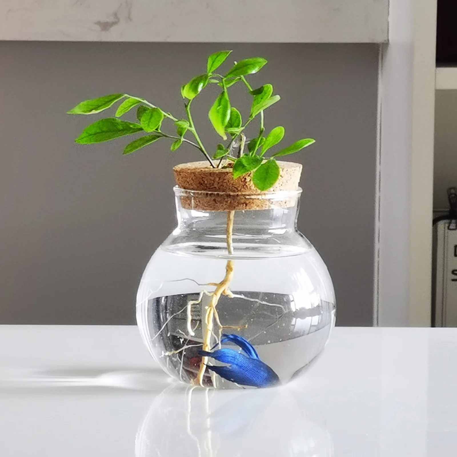 

2pcs Hydroponics Planting Water Planting Glass Vase For Flower Arrangement Clear Simple Creative Plant Vase Household Decor