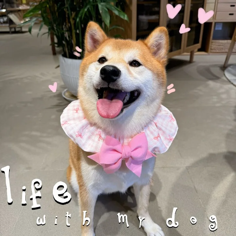 귀여운 체크무늬 애완동물 목걸이 이미지