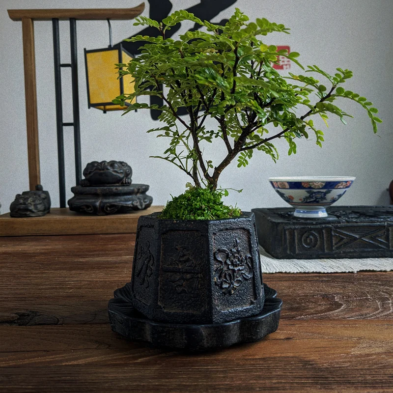 Chinese Carved Bonsai Pot, Classical, Home Table, Garden Decoration