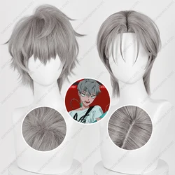 Till Cosplay Wig 30cm Grey Short Hair Heat Resistant Synthetic Wigs