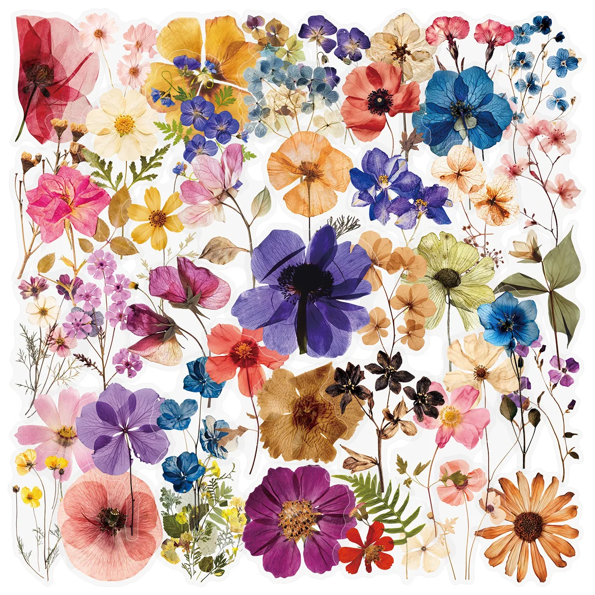 50 Stück Gepresste Blumen-Kunst-Aufkleber Transparente Blumenaufkleber Pflanzen-DIY-Dekoration Spielzeug für Kühlschrank Laptop Gitarre Auto Fahrrad Skateboard