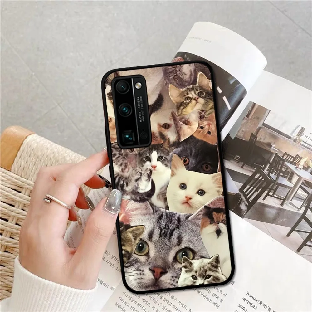 Crying Cat Memes Phone Case For Huawei Honor 10 lite 9 20 7A pro 9X pro 30 pro 50 pro 60 pro 70 pro plus