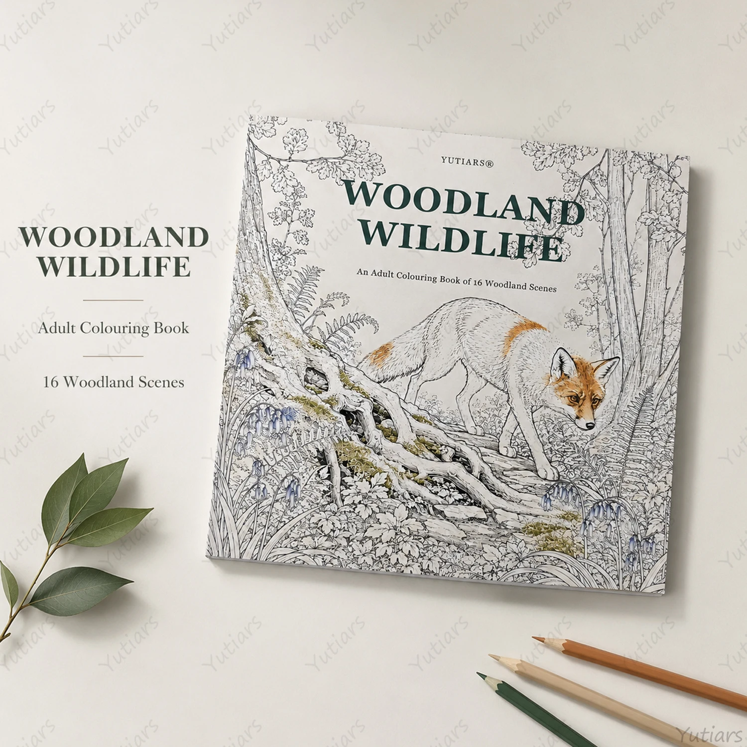 Woodland Wildlife Adult Colouring Book by Yutiars 20cm Square Forest Animals Nature Line Art Pages Stress Relief Creative Hobby