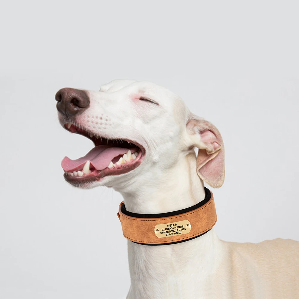 Coleira de couro personalizada, coleiras macias, largas e acolchoadas para cães médios e grandes, placa de identificação gravada grátis, acessórios