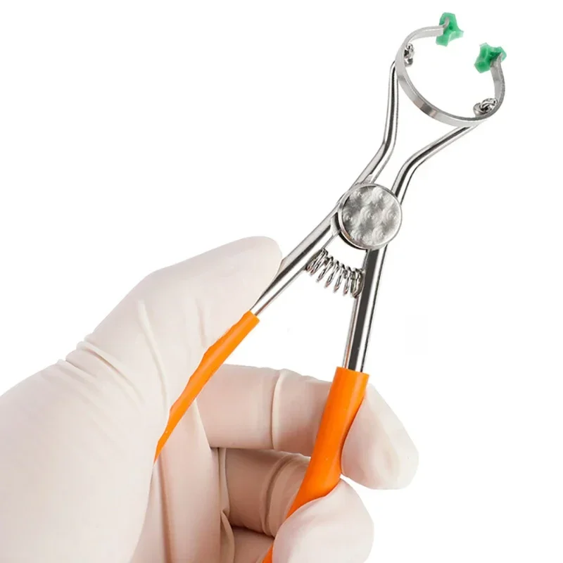 Dental Forceps Matrix Band Forming Clip with Durable Rubber Dam Clamp: Orthodontic Instruments for Dentist Material Applications