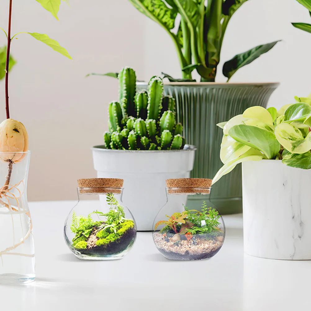 

3Pcs Clear Ecological Glass Bottles Sealed Mini Landscape Terrarium Containers for Desktop Micro Plant Decoration