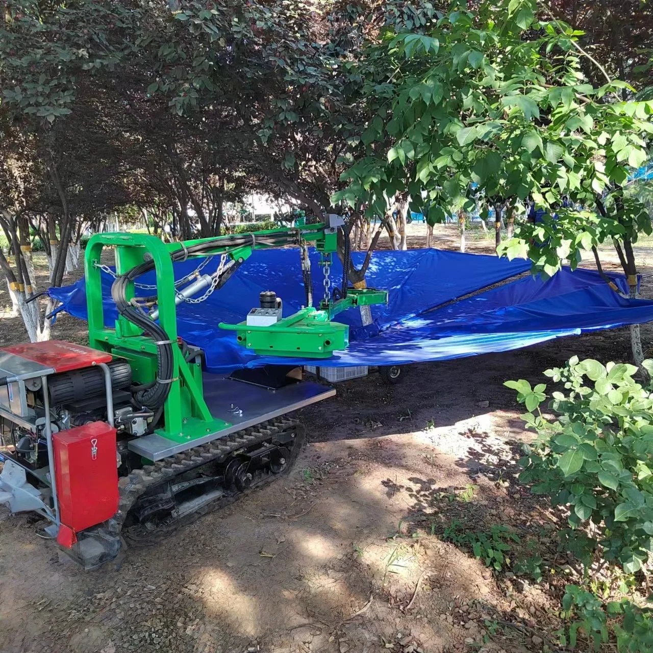 Multifunctional Crawler Olive Tree Shaker Almond Walnut Picker Automatic Vibrating Picker