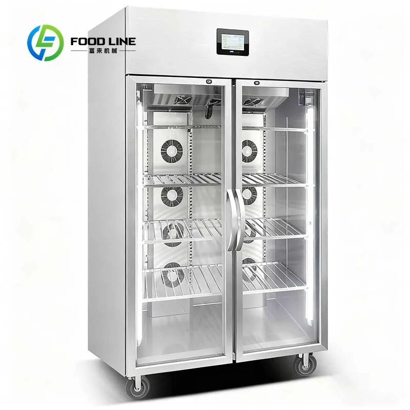 Low Operating Cost Thawing Cabinet Commercial Electrostatic Defroster Temperature High Humidity for Meat Seafood customized