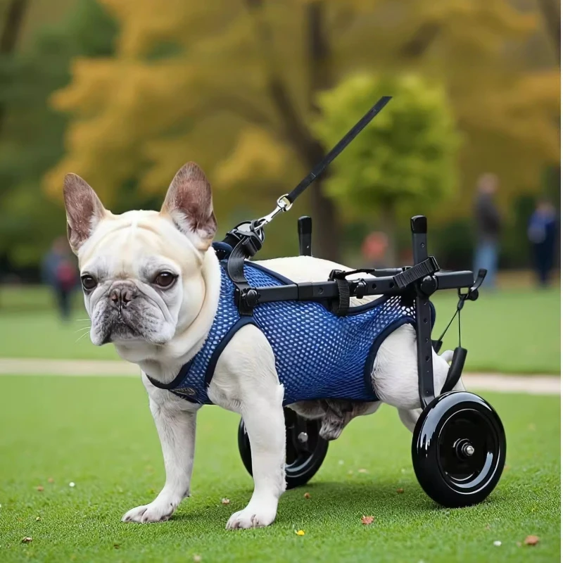 

‌Two-Wheeled Dog Walker - Adjustable Breathable Wheelchair for Senior & Disabled Dogs | Pet Mobility Aid with Support Frame